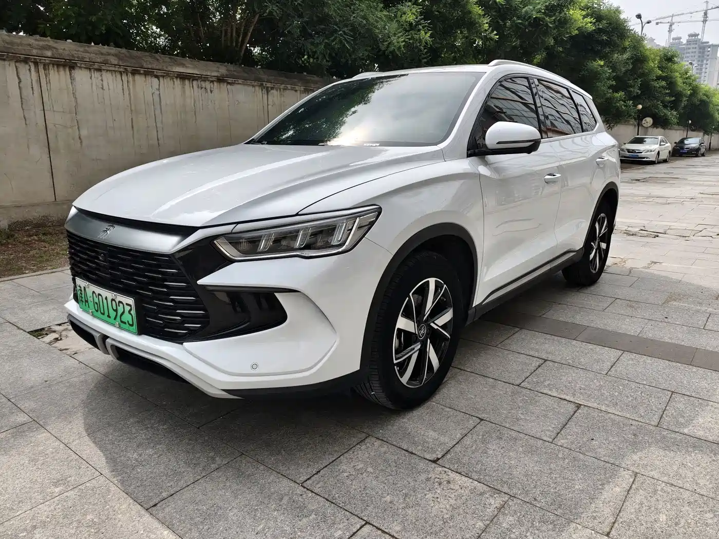 BYD Song Pro New Energy 2024 Glory Edition DM-i 71KM Pilot