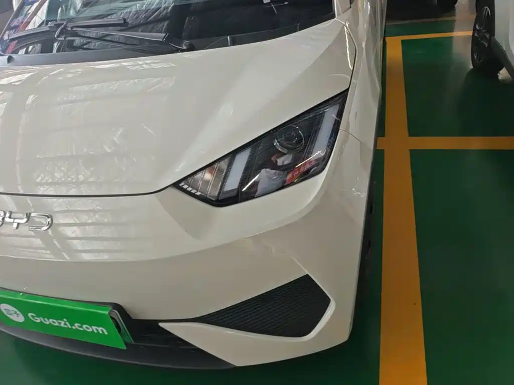BYD Seagull 2026 2025 Smart Drive Edition 305km Vitality Version