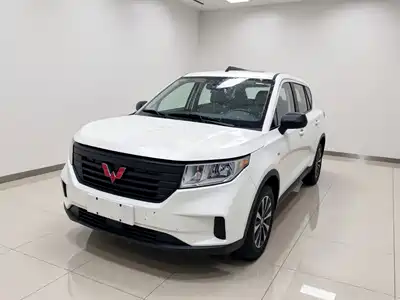 Wuling Hongguang Plus