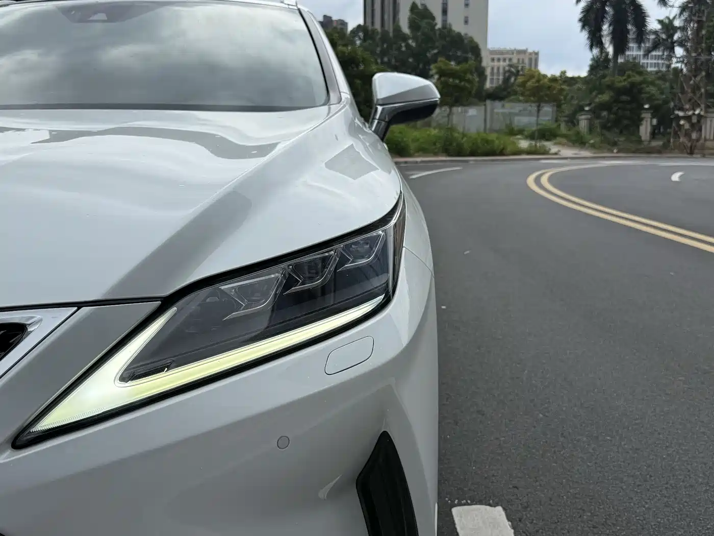 LEXUS RX