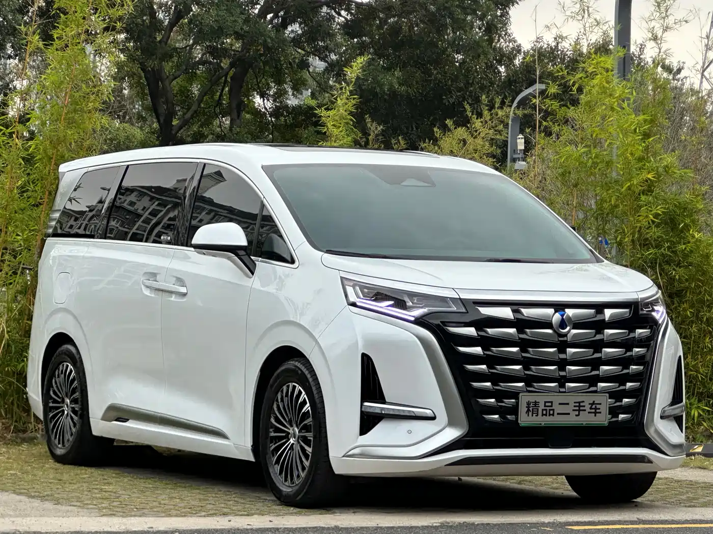 Denza D9 2022 DM-i 970 All-Wheel Drive Honor Edition фото 3