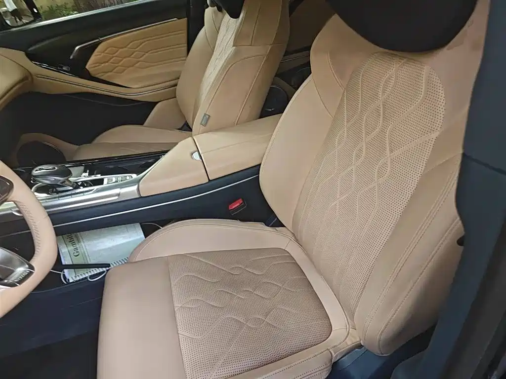 Voyah Auto VOYAH FREE 2021 AWD Standard Range Extender Exclusive Luxury Package фото 8