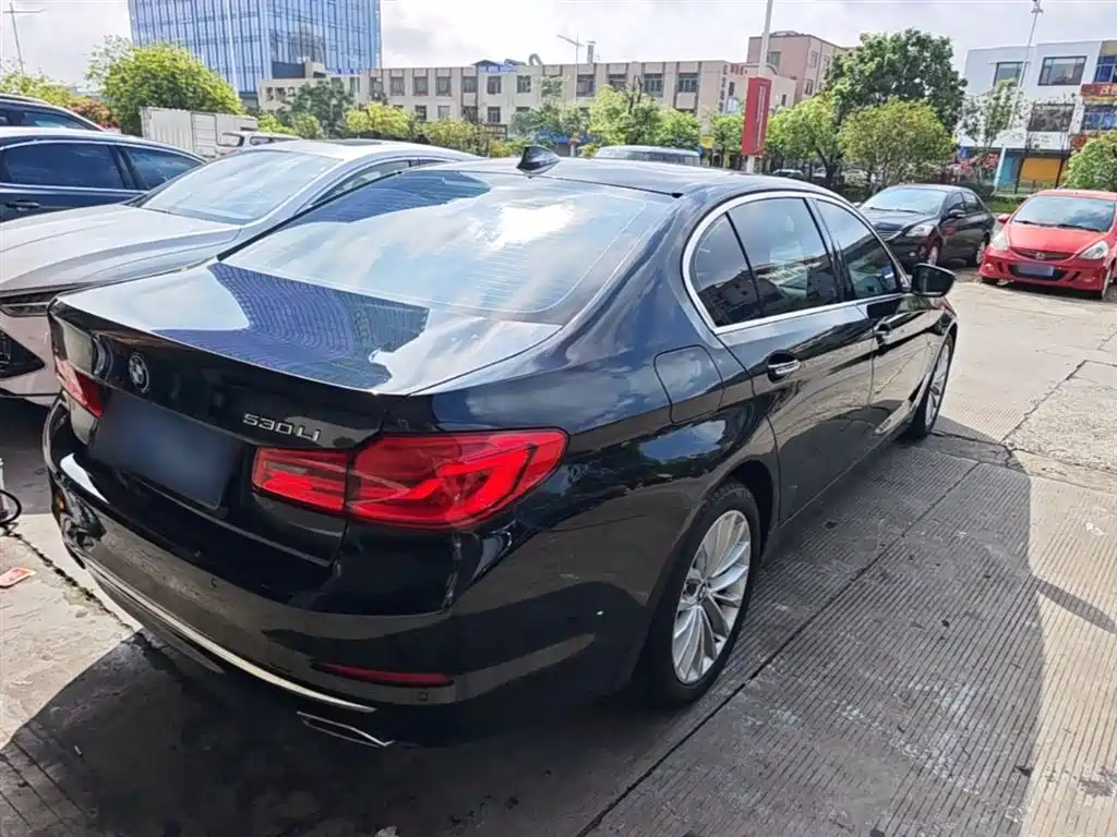 BMW 5 Series 2018 Facelift 530Li Leading Luxury Package фото 7