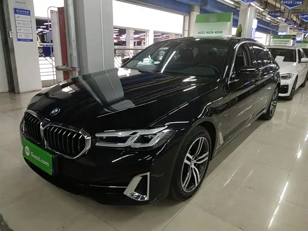 BMW 5 Series 2022 530Li Leading Luxury Package