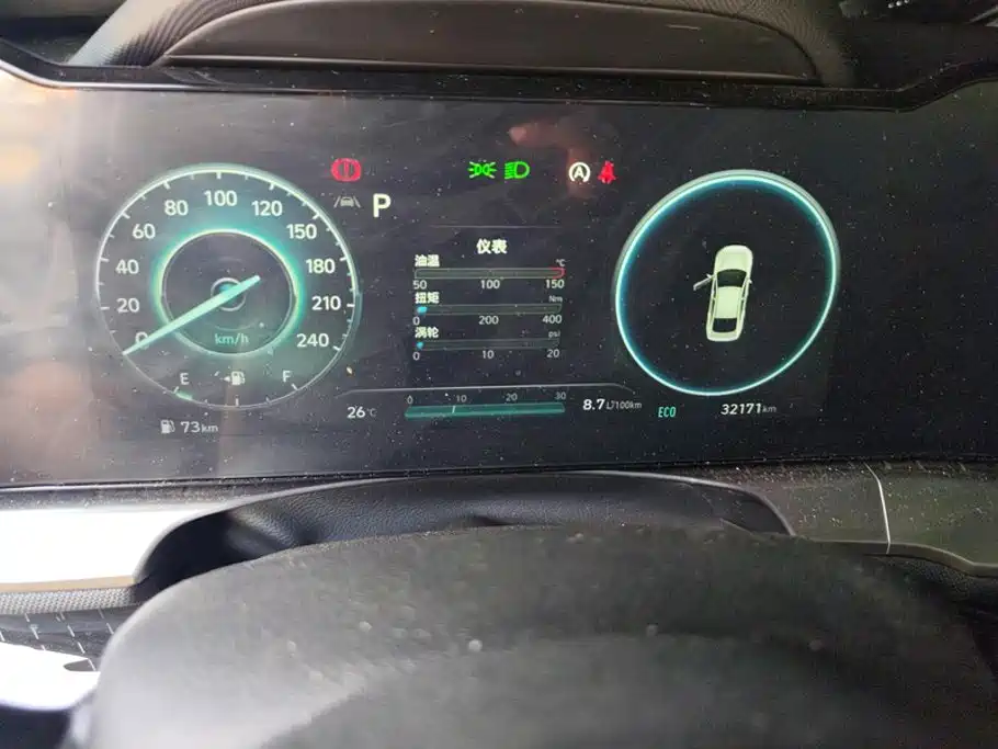 Photo 14 - Hyundai Lafesta