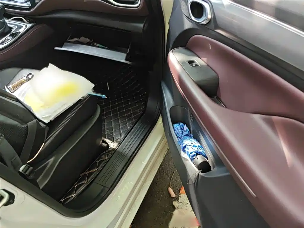 GAC Trumpchi Trumpchi M6 2021 PRO 270T DCT Luxury Edition фото 20