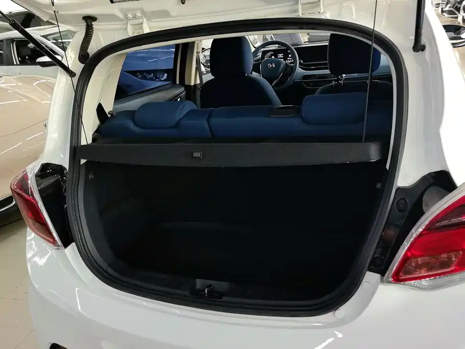 2023 Changan Benben E-Star