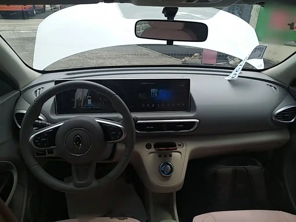 Ora White Cat 2020 2020 360km Luxury Model