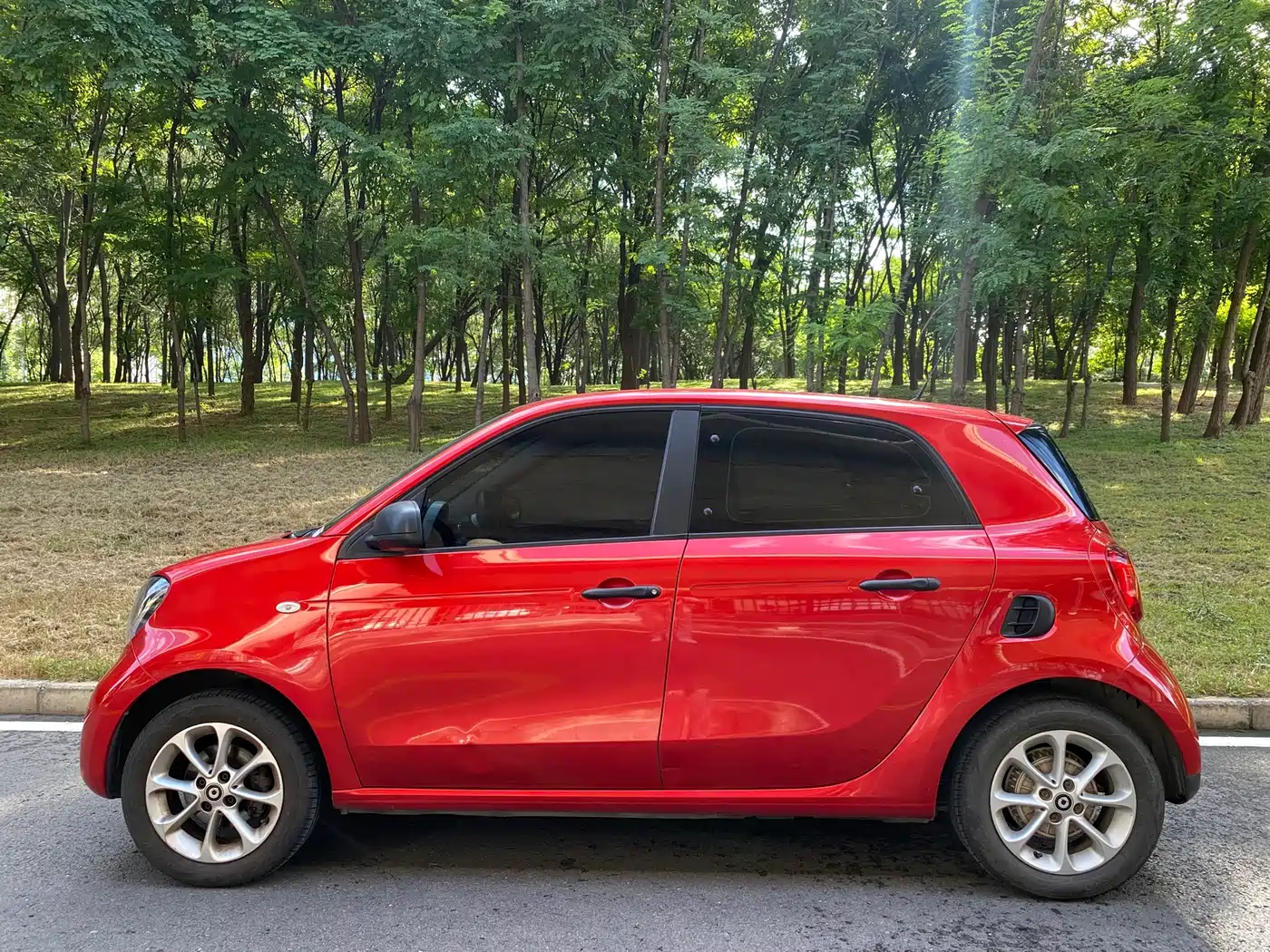Фото 3 - smart forfour
