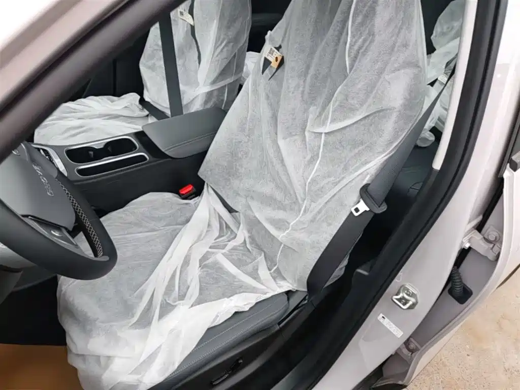 Geely Galaxy Starry Wish 2026 Model 310km Dream Edition фото 15