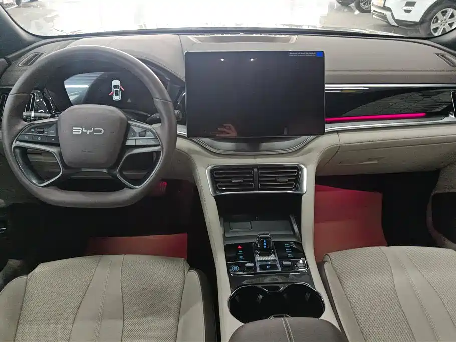 BYD SONGJIANG NEW ENERGY