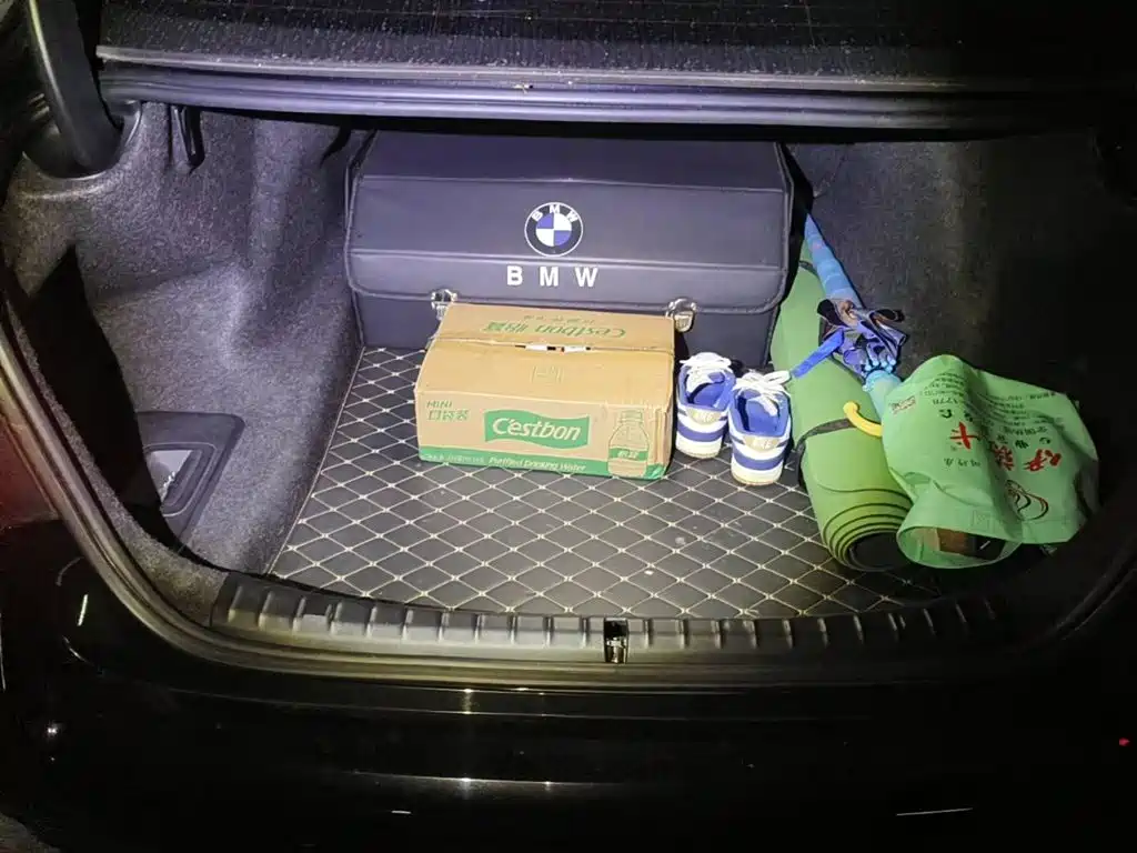 BMW 5 Series, миниатюра 13