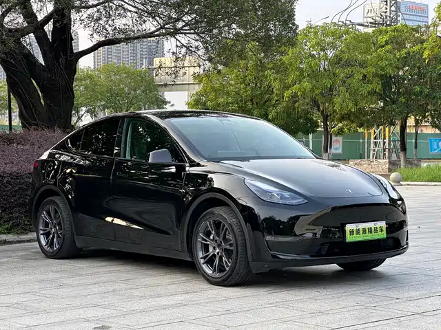Tesla Model Y 2023 Long Range All-Wheel Drive Edition — фото 3
