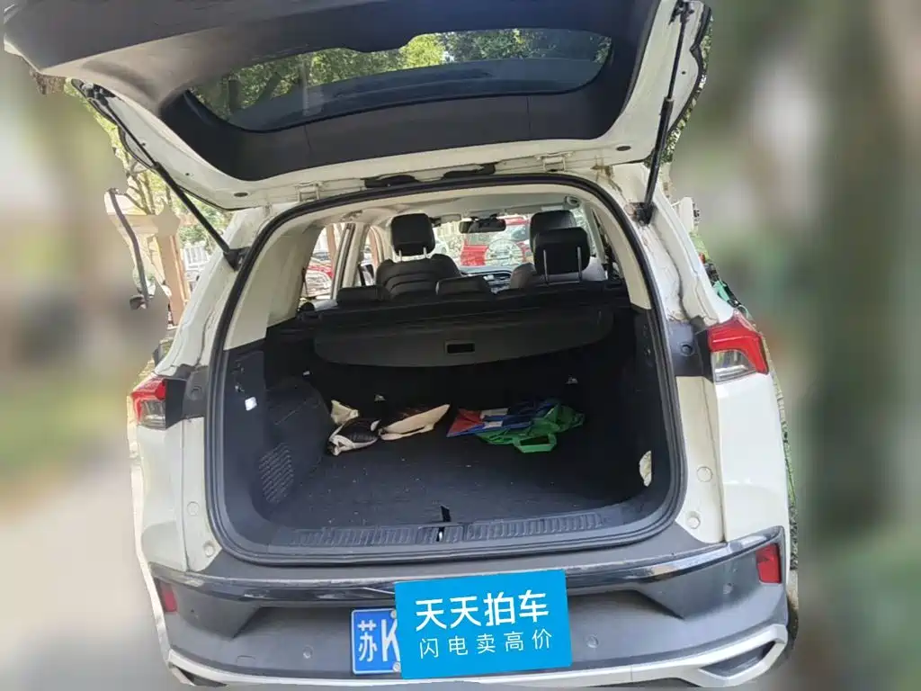 2019 Maxus Maxus D60