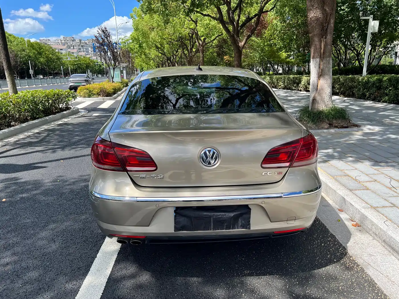 Фото 6 - Volkswagen FAW-Volkswagen CC