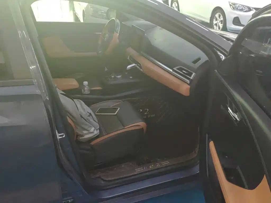 BYD e2 2020 2020 Upgraded Long Range Luxury
