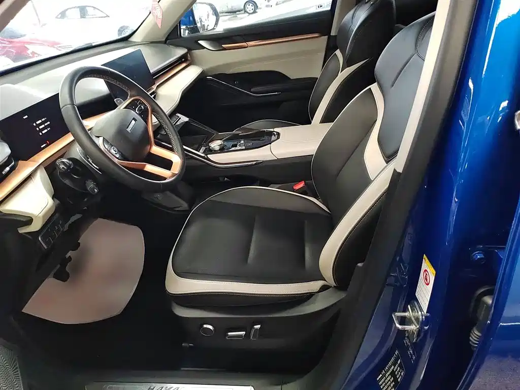 Haval H6 2021 3rd Generation 2.0T Automatic AWD Supreme фото 15
