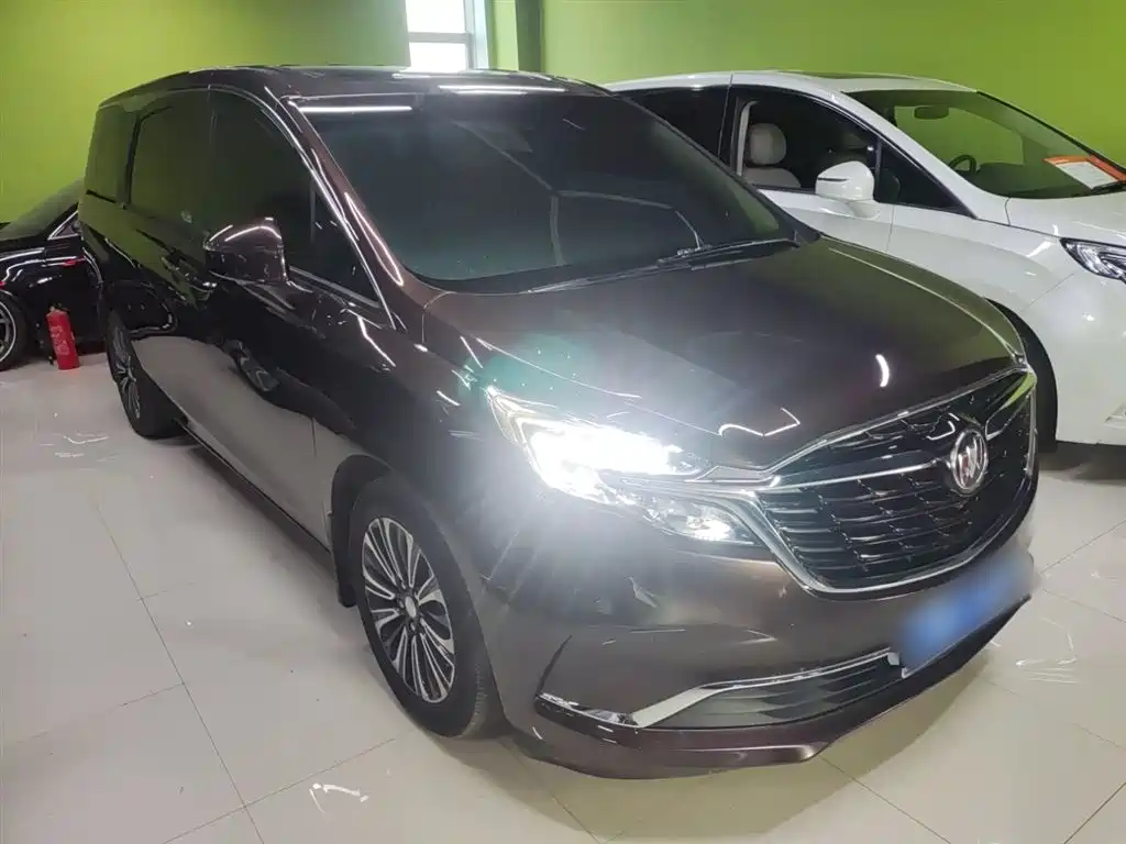 Buick GL8 2021 ES Landlord 653T Luxury фото 23