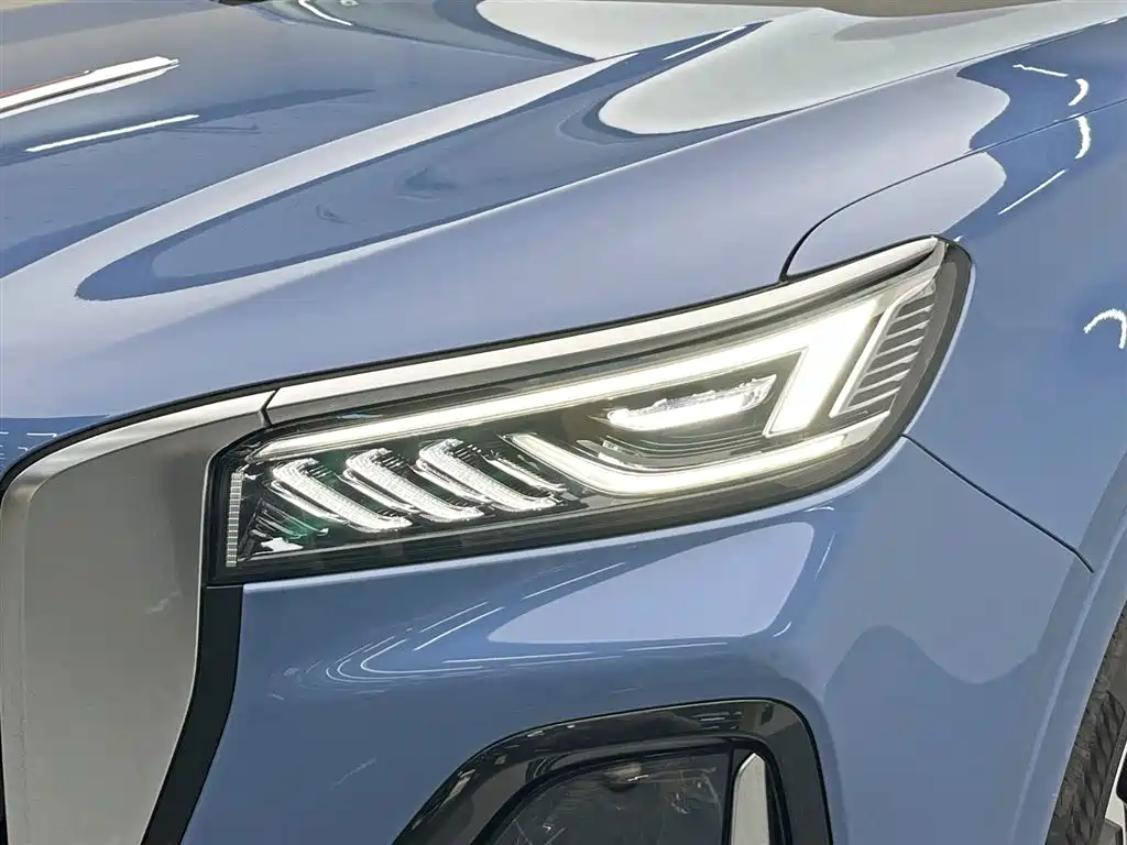 Hongqi HS5 2023 2.0T 4WD Flag Leader Pro фото 9