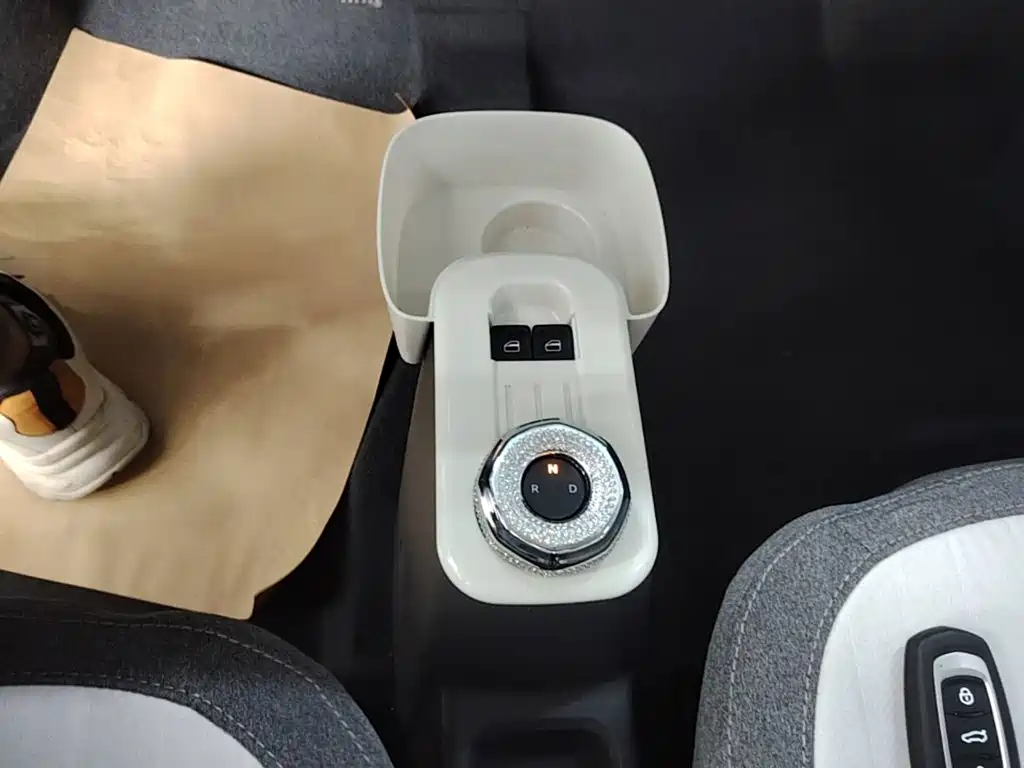 Geely Galaxy Panda 2026 2025 Panda mini 210km Vitality Bear