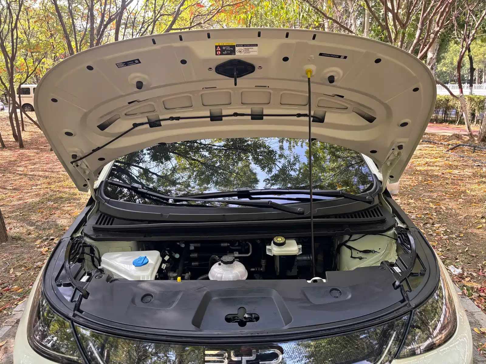 Фото 7 - BYD Dolphin