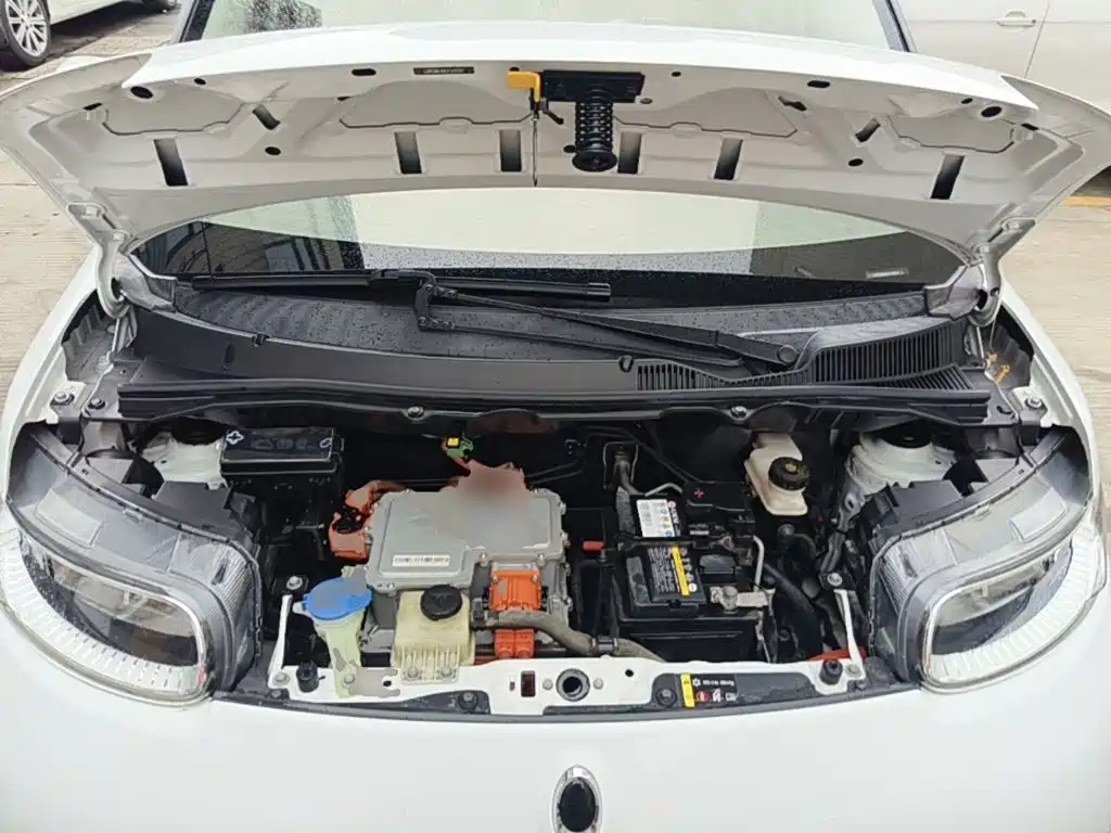 Ora White Cat 2020 2020 360km Standard Model