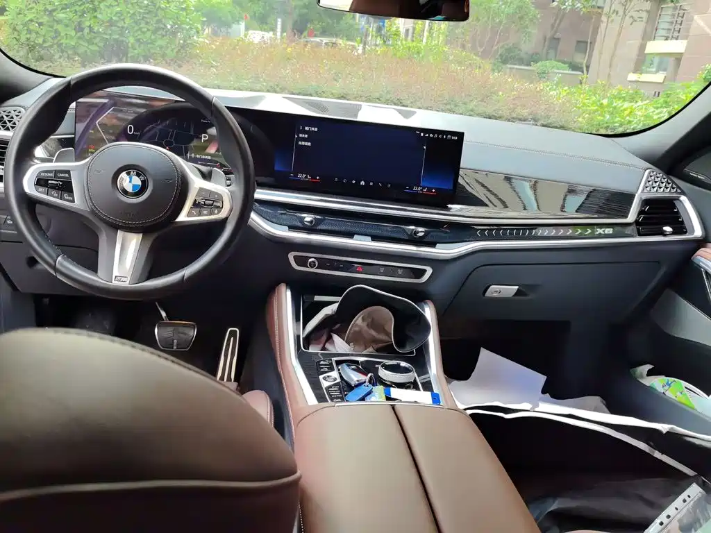 2024 BMW X6