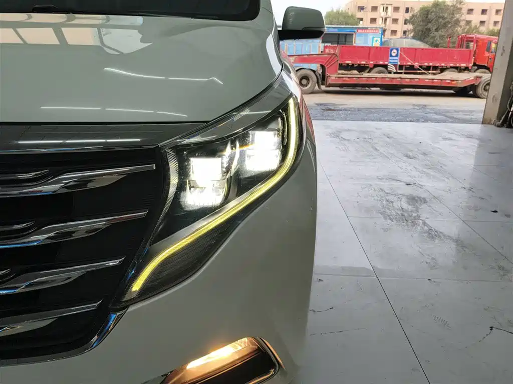 GAC Trumpchi Trumpchi M8 2018 320T Premium Edition фото 24