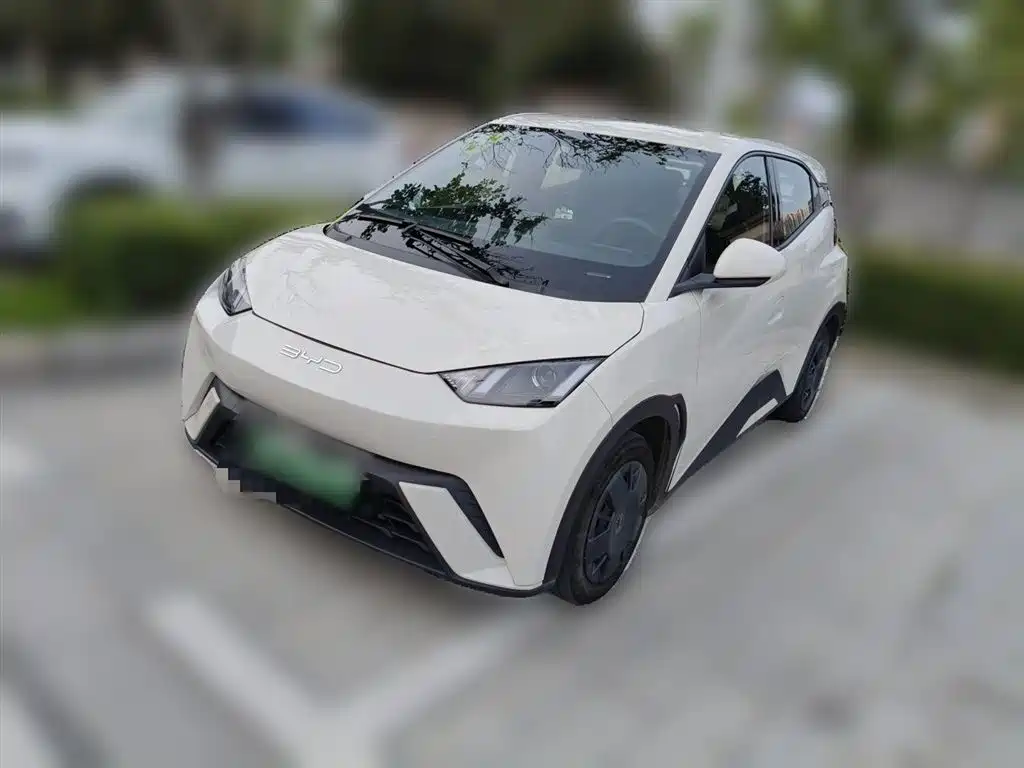 BYD Seagull 2024 Glory Edition 305km Vitality Edition