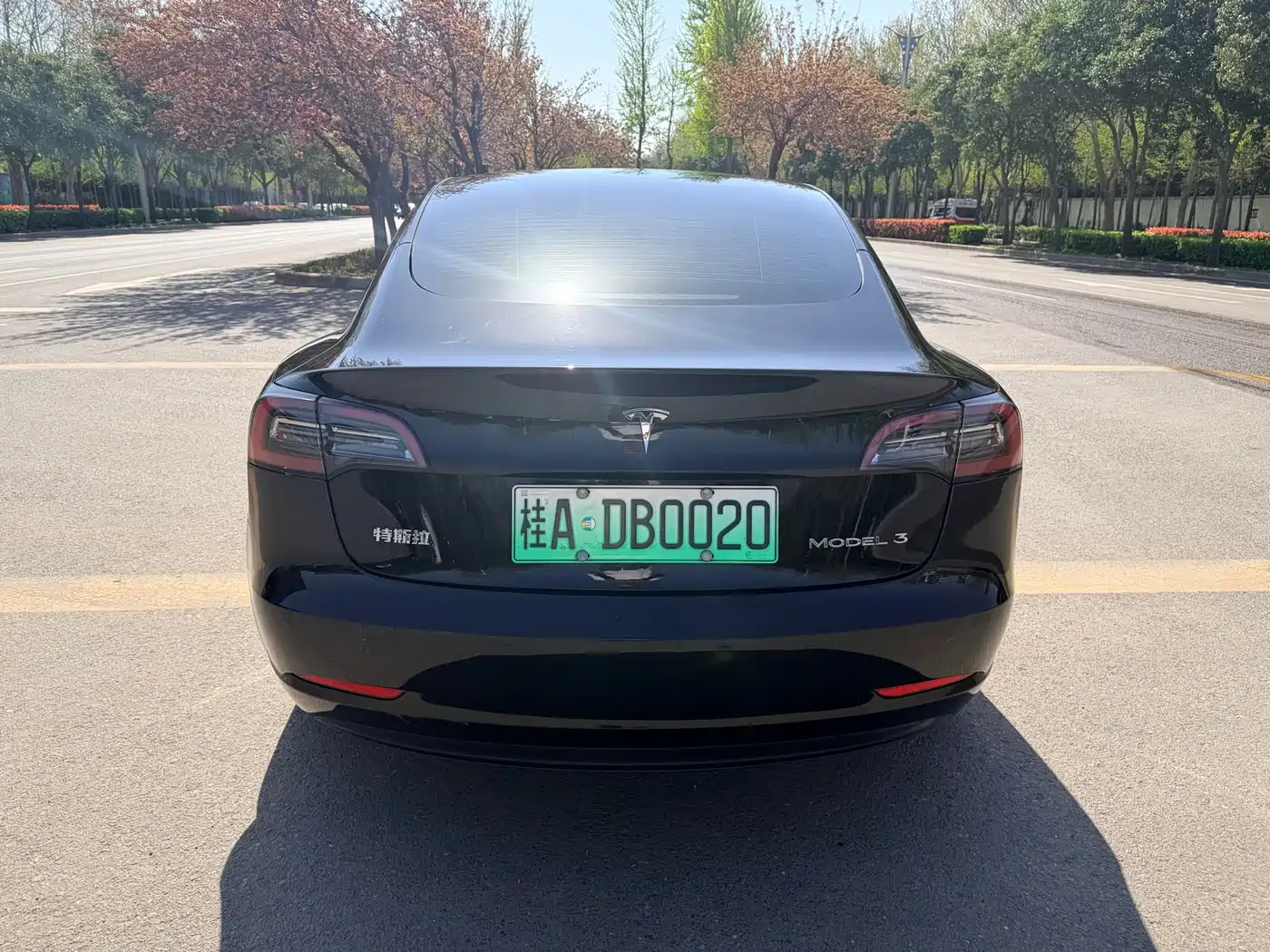 TESLA MODEL 3
