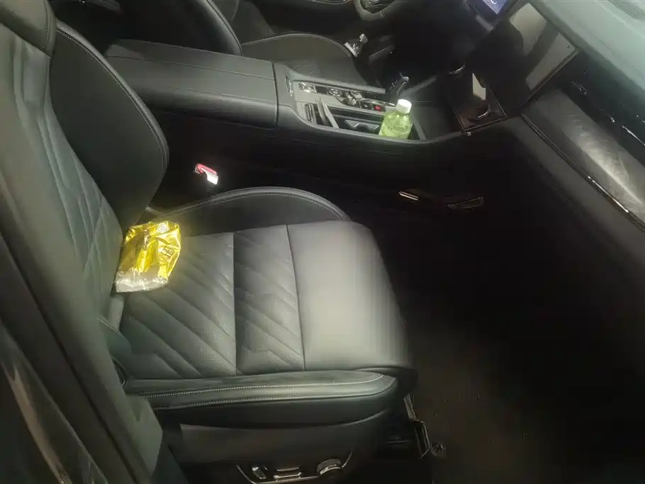 Lynk & Co 09 EM-P 2021 2.0T PHEV Halo 6-seater фото 8