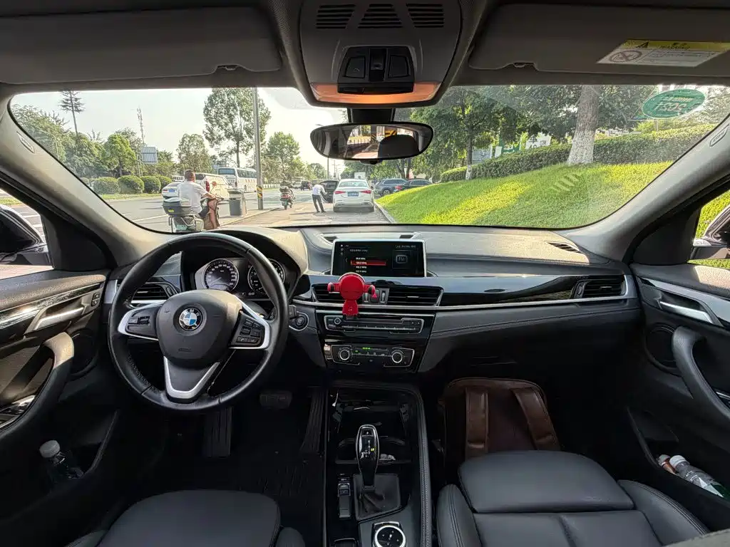 BMW X2 (Import) 2019 2019 sDrive20i M Off-Road Package China VI