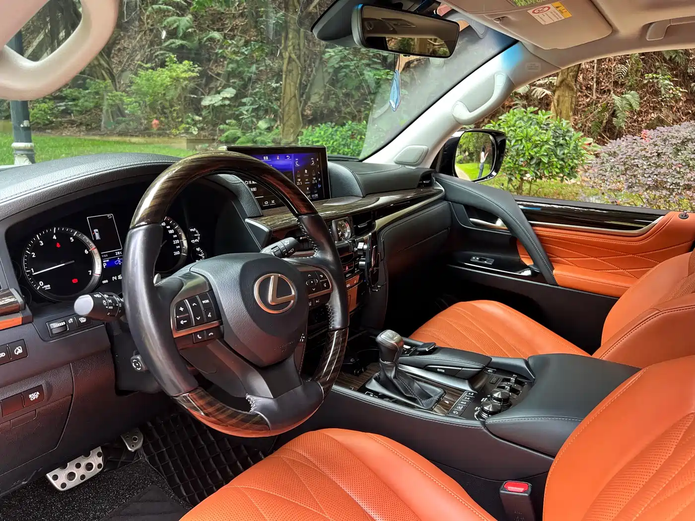Lexus LX 2019 570 Peak Special Edition фото 6