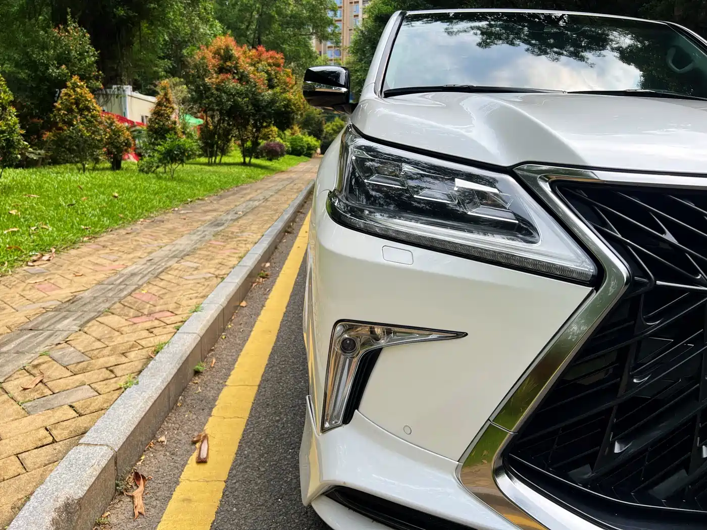 Lexus LX 2019 570 Peak Special Edition фото 15