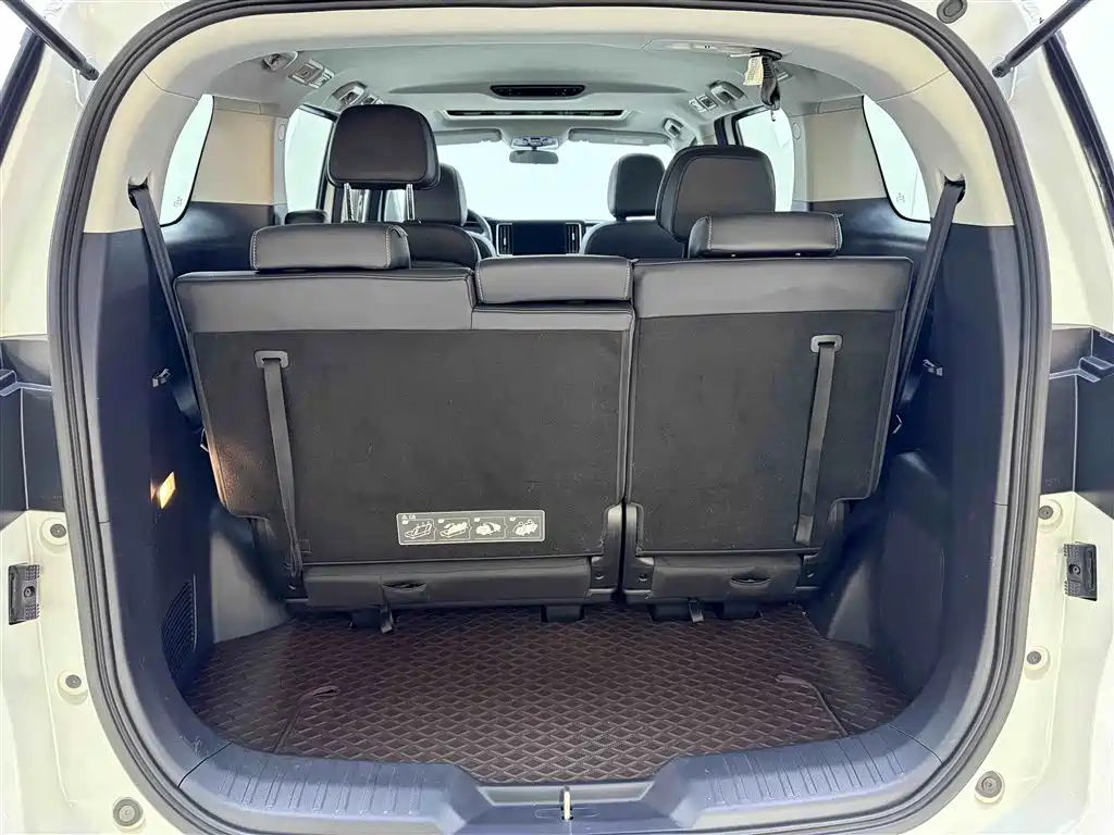 GAC Trumpchi Trumpchi M8 2024 Leadershow Series 390T Luxury Edition фото 24