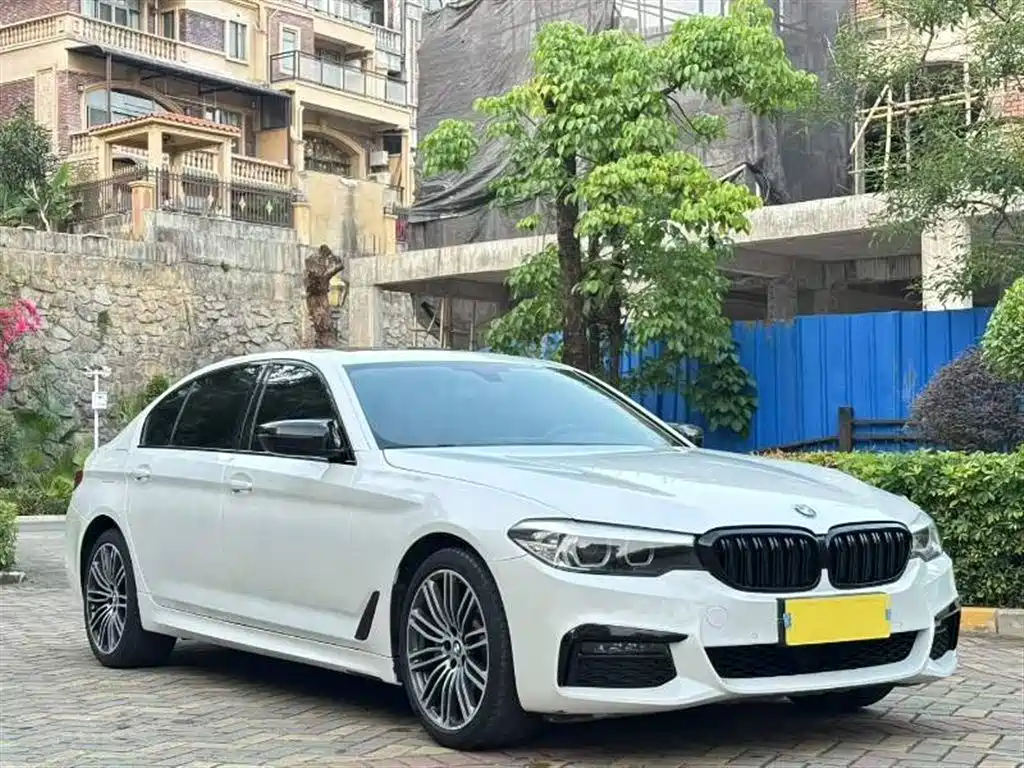 BMW 5 Series 2019 530Li Leading M Sport Package фото 3