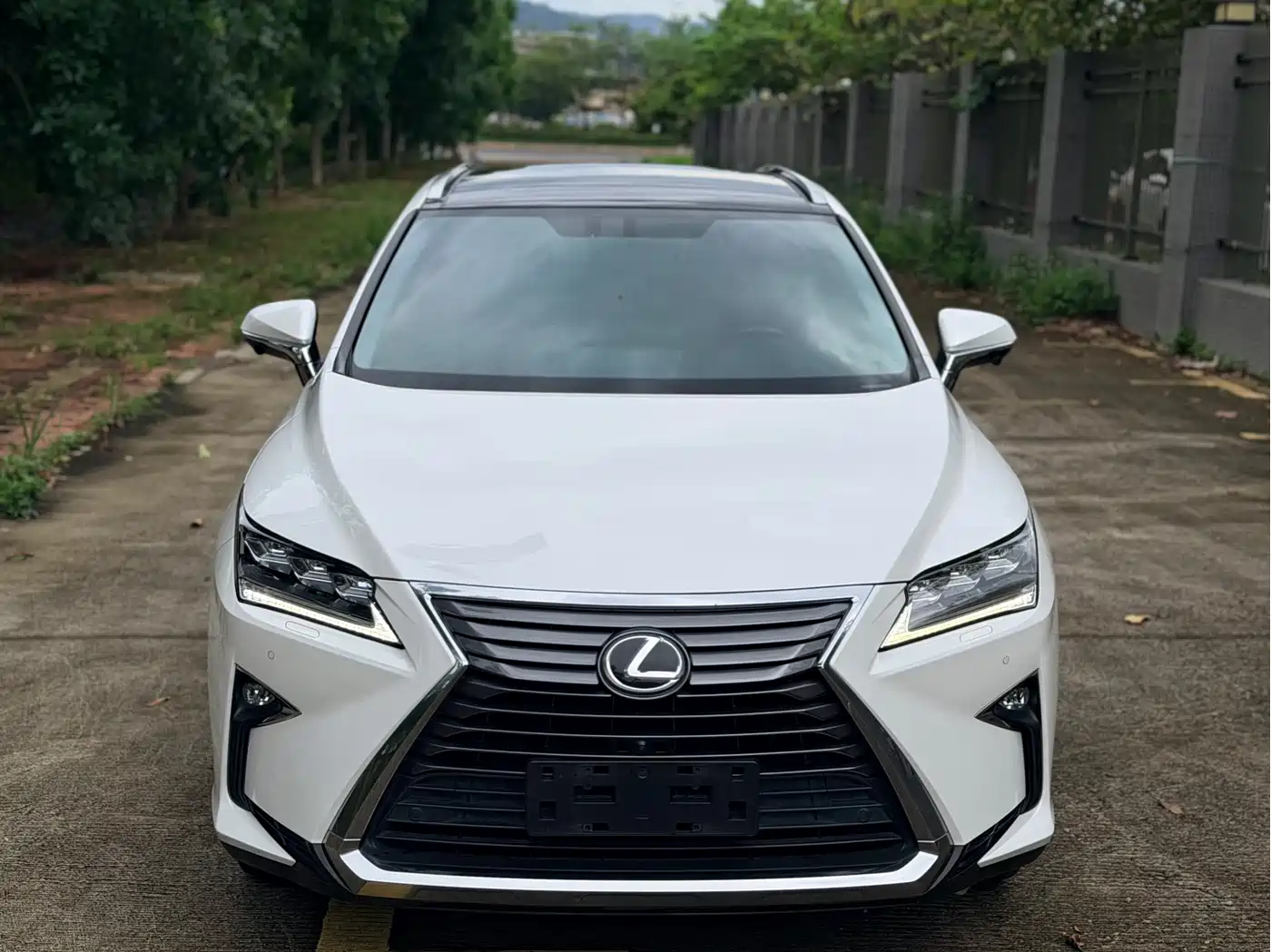 Lexus RX 2016 300 4WD Elegance Edition (China V) фото 2