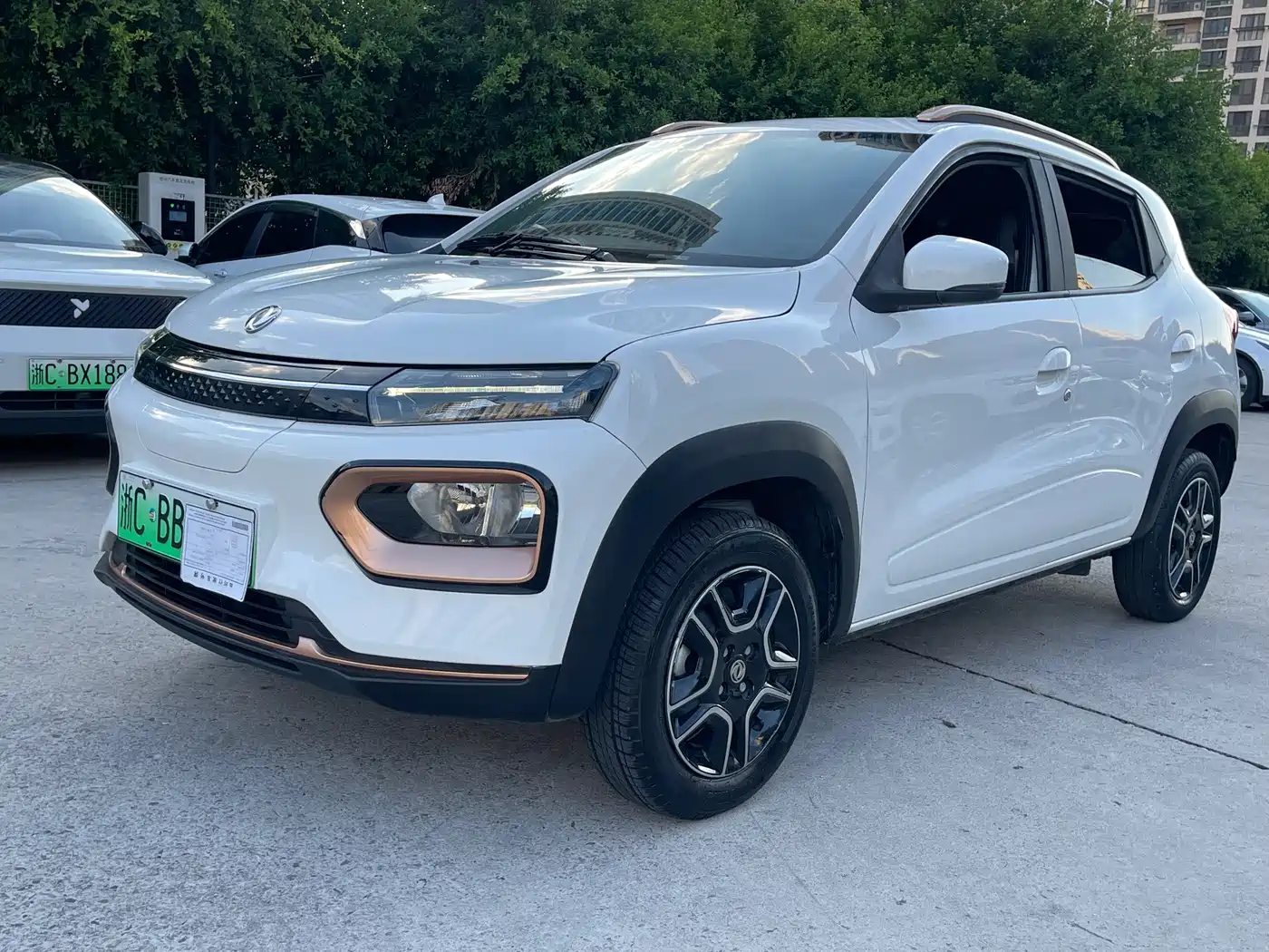 Dongfeng Yipai Dongfeng Nano EX1 2022 2022 PRO Tiger Edition Luxury