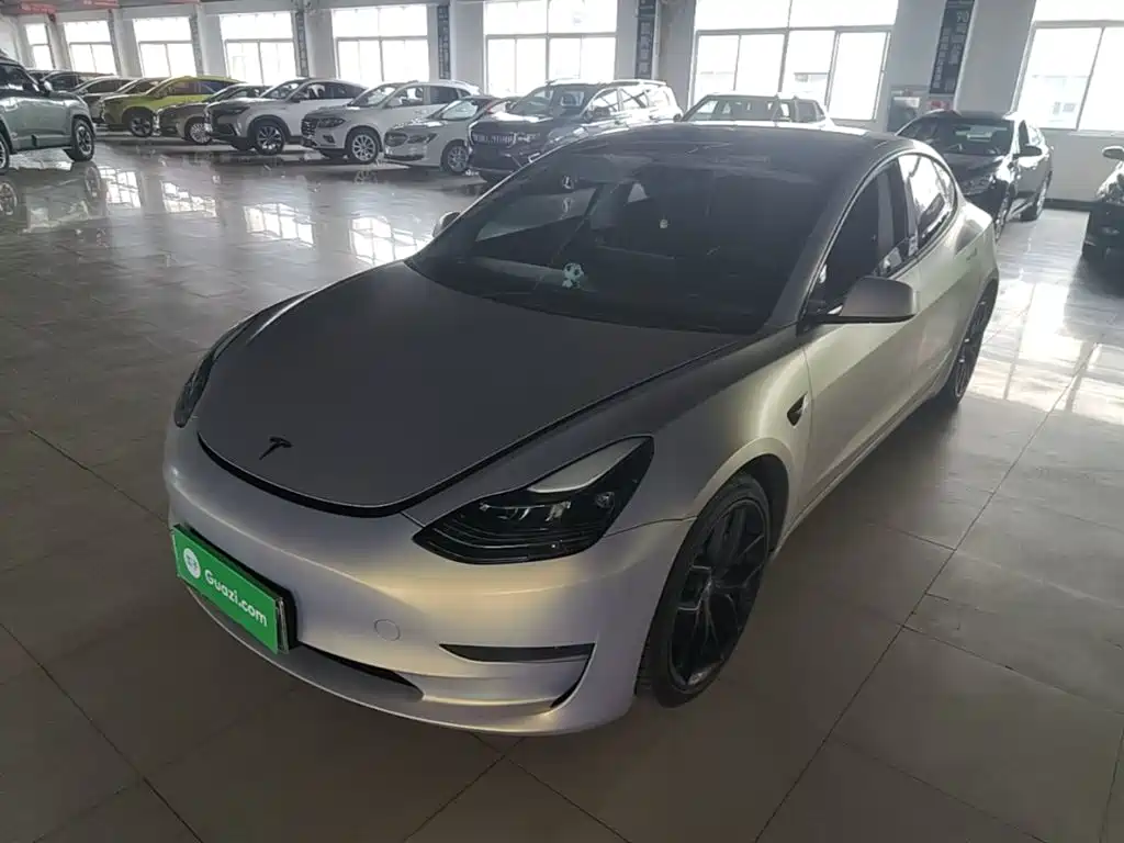 Tesla Model 3 2021