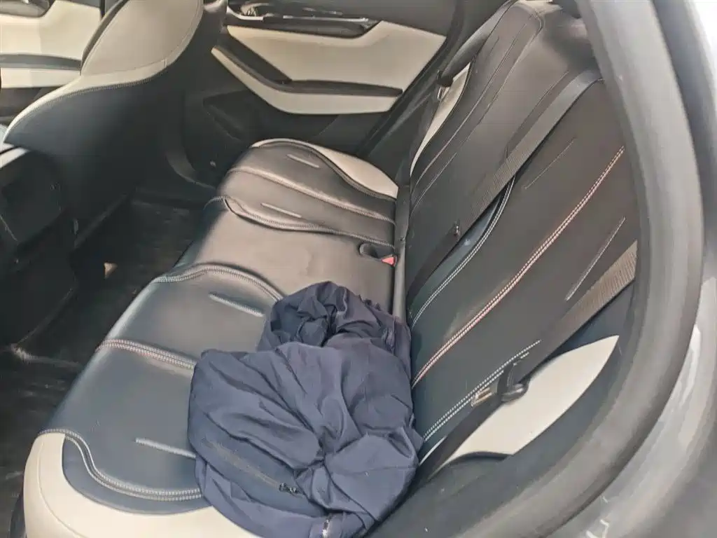 BYD Qin PLUS 2021 DM-i 55KM Premium фото 13