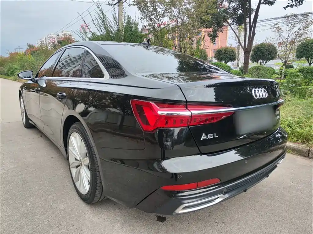 Audi A6L 2021 45 TFSI Exclusive Sport фото 10