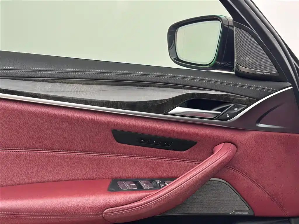 BMW 5 Series 2020 530Li Exclusive M Sport Package фото 16