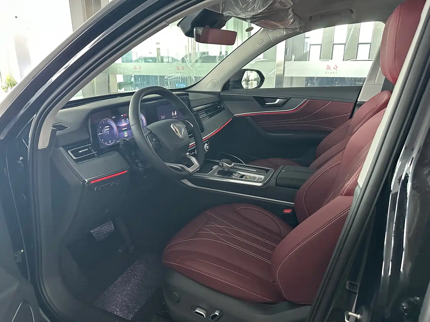 Hongqi HS5 2026 2025 2.0T 2WD Qixiang Pro