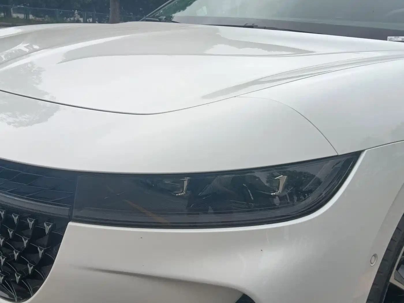Voyah Passion 2025 2024 PHEV AWD Ultra Long Range Flagship
