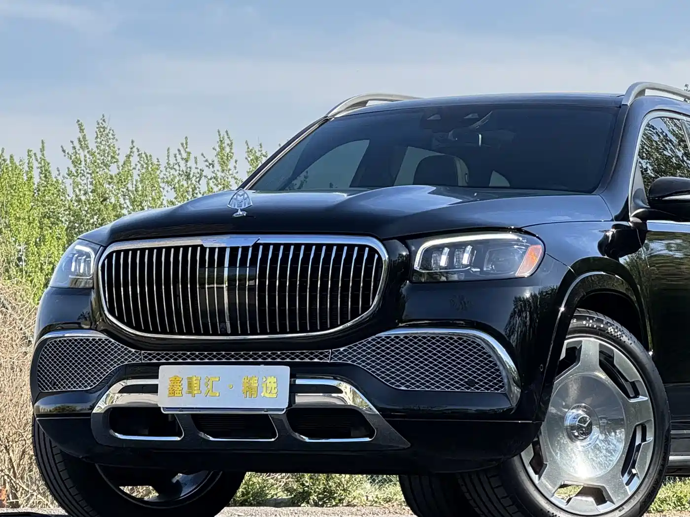 Mercedes-Benz GLS 2023 GLS 450 4MATIC Luxury Edition фото 5