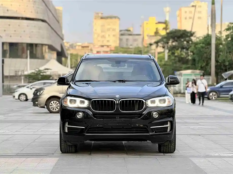 BMW X5 (Import) 2014 xDrive35i Leading фото 2