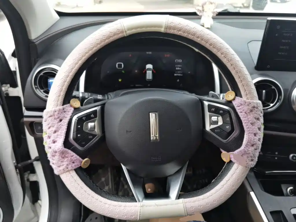 WEY VV5 2017 2017 2.0T Flagship Model