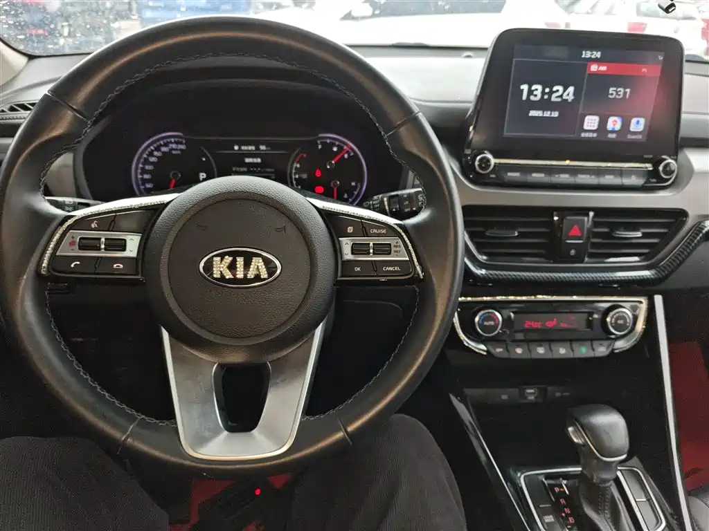 Kia Sportage 2019 2.0L Automatic Smart Luxury Edition фото 10