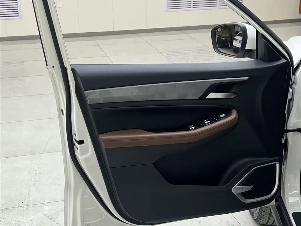 GEELY AUTOMOBILE VISION X6