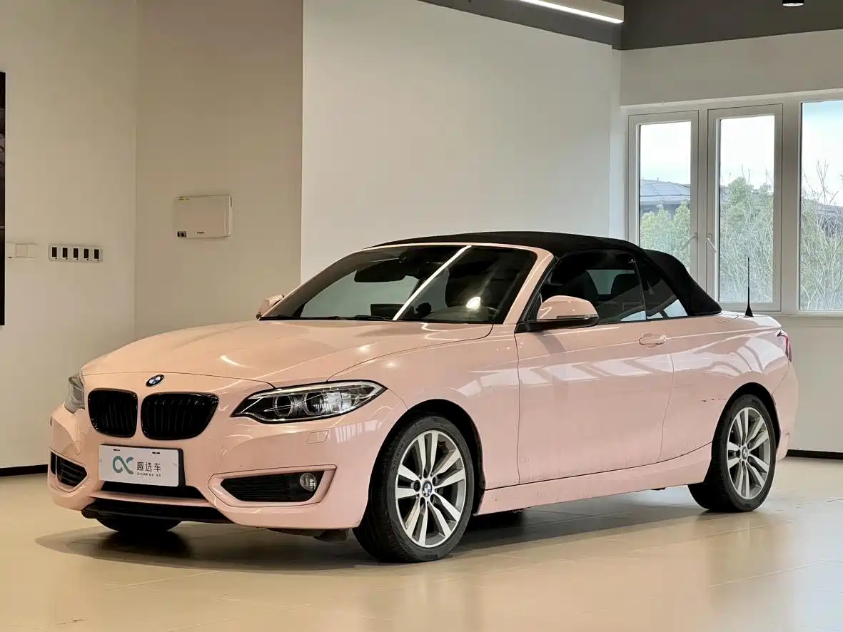 BMW 2 Series (Import) 2015 220i Convertible Coupe Leading